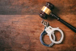 Felony and Misdemeanor Sentencing Guidelines in SC